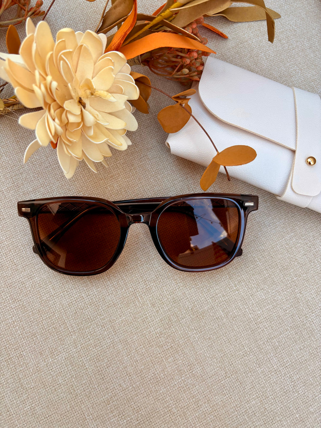 LENTES  LUZ